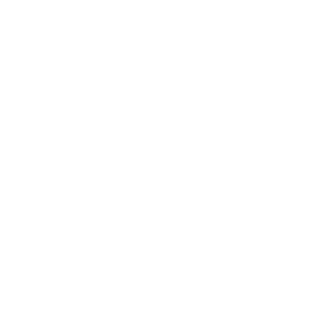 PDF-Africa001-white-logo